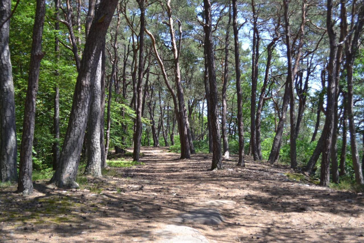 Zauber Der Pfalz Romerberg Εξωτερικό φωτογραφία